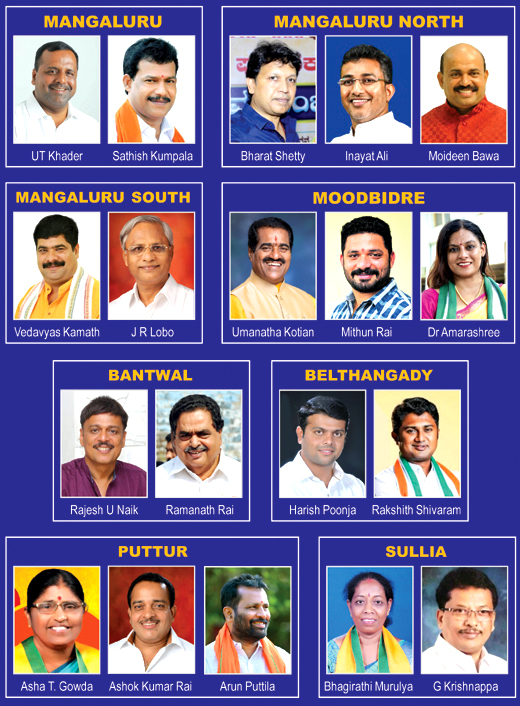 Dakshina Kannada assembly constituency