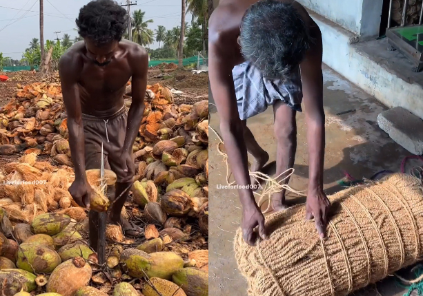 Coconut