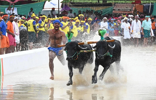 Bengaluru Kambala
