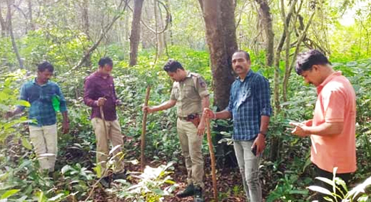 combing in mangalore