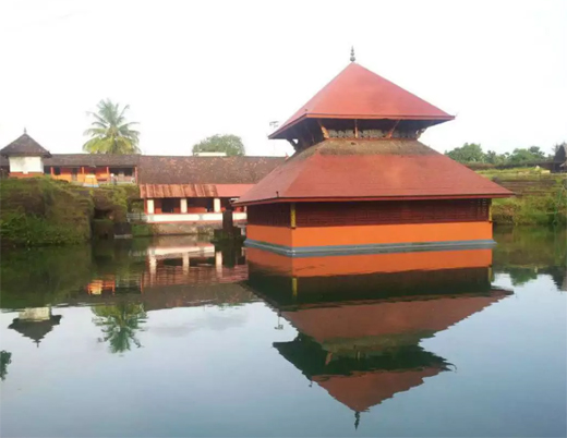 new crocodile in Sri Ananthapadmanabha Temple Lake 
