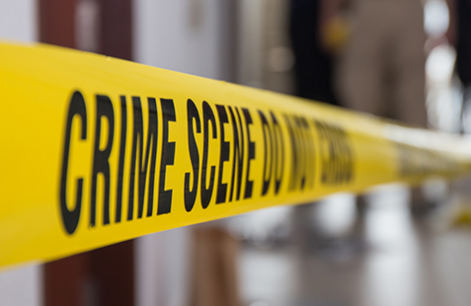 Human skull found in forest near Bilinele