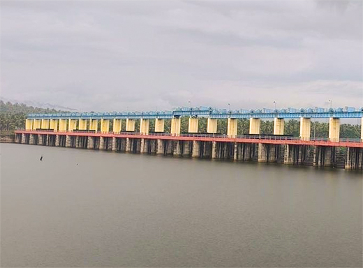 Thumbe Dam Reaches Full Capacity