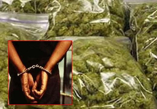 Mangaluru Police Arrest 11 BBA Students