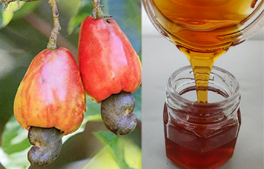 cashew-fruite-1