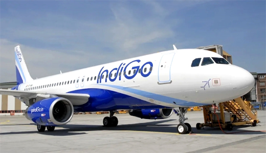 Indigo flights cancel 
