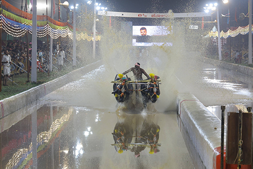 Mangaluru Kambala
