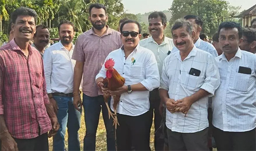 cockfighting in Kepu