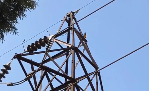 Bengaluru electrocution