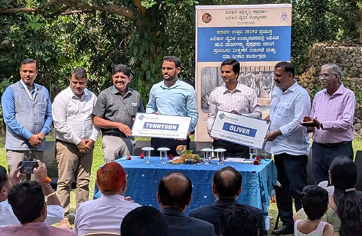 Tiger Cubs Released for Public Viewing at Pilikula