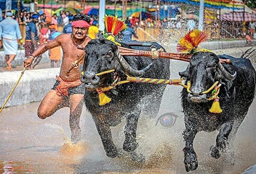 Kamabala racers swaroop