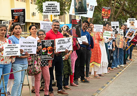 Animal Lovers Protest in Mangaluru