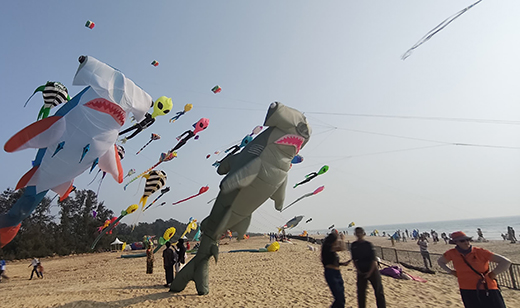 International Kite Festival