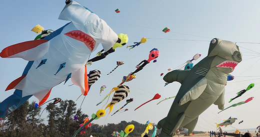 International Kite Festival