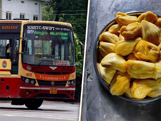 Kerala Jackfruit incident 