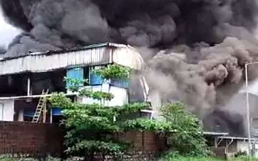 Fire breaks out at fish processing