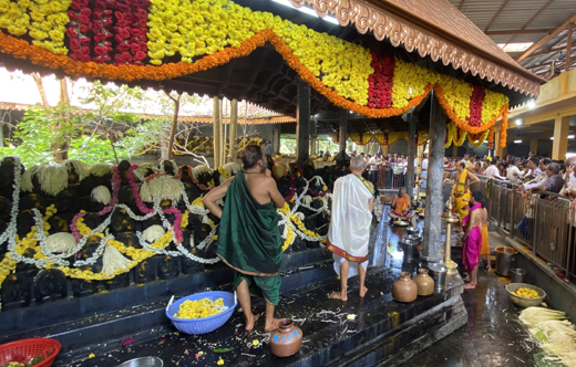 naga-panchami-2025-3