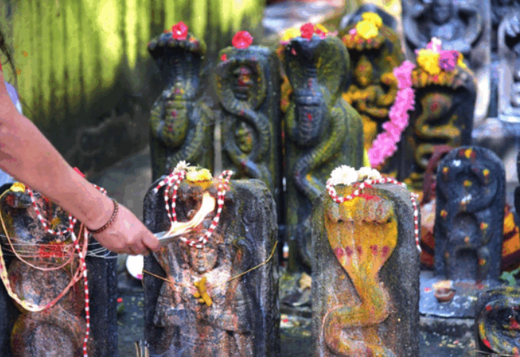 naga-panchmi-25