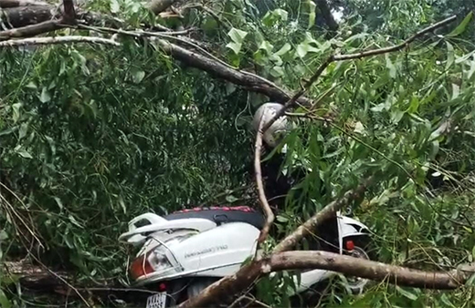 Heavy Rainfall Wreaks Havoc