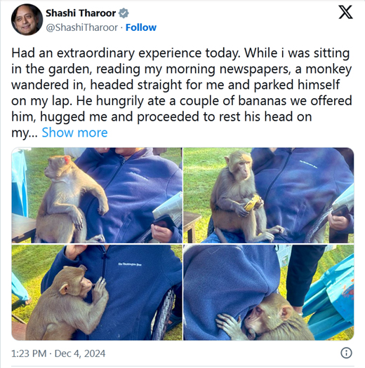 Tharoor-monkey...