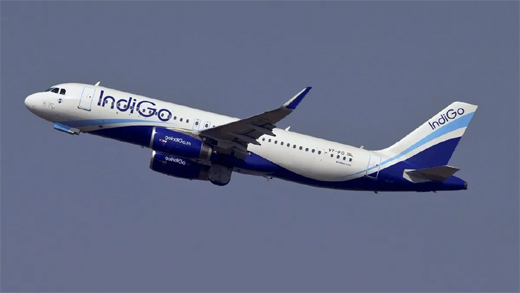 Indigo