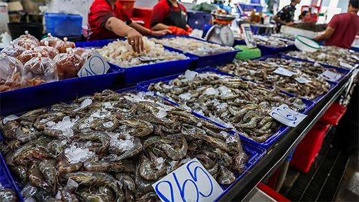 Seafood