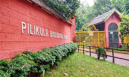 Pilikula zoo 