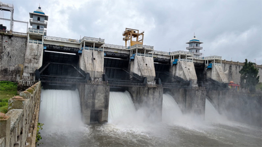 Cauvery water