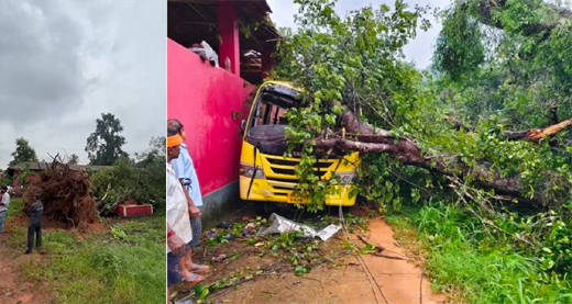 Tree fall on Bus-2