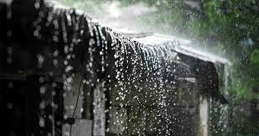Rain 