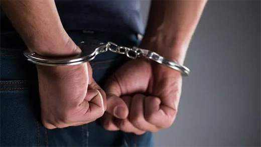 House theft-arrest