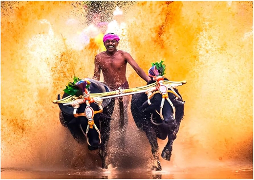 Kambala 