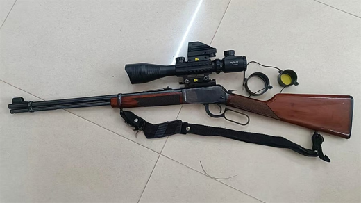 Firearms