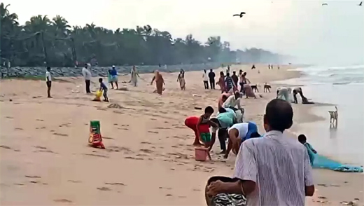 Bhutayi fish