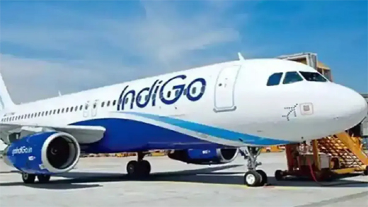 Indigo