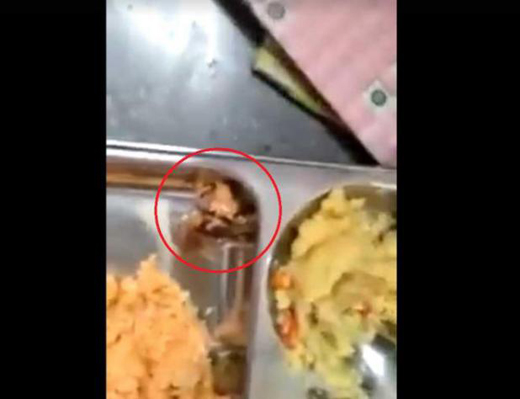 Cockroach.