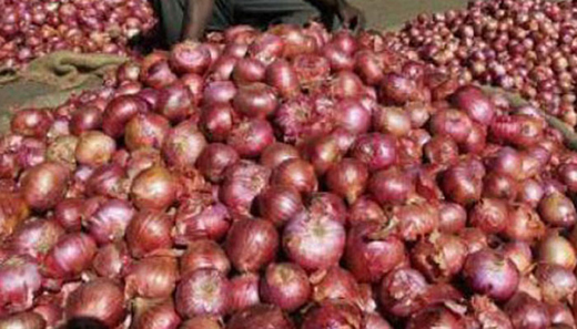 onions.jpg