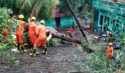vardah-chennai...