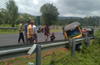 Auto overturns in bid to avert hitting mongoose, driver injured