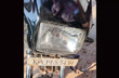 Bantwal: Overtaking bid claims life of bike rider