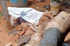 Woman dies as tree branch falls over head while felling
