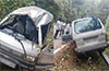 Omni car overturns near Sullia; four injured, including child
