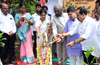 Karnataka to Revive Cashew Cultivation, Rs 1 Crore Grant Announced for Quality Saplings