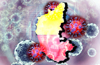 Karnataka reports 378 infections, three fatalities