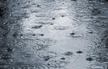 Puttur: 13-year-old girl swept away in a stream; feared dead