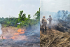 Karkala: Grassland fire chars 8 acres; major disaster averted