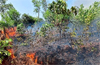 Udupi: Vegetation destroyed after fire breaks out from transformer sparks near Bantakal