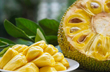Five-day mango, jackfruit mela at Kadri Park from May 9