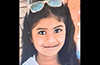 Seven-year-old girl dies after honeybee attack in Puttur; cousin critical