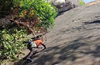 Belthangady: Climber Jyothiraj scales Gadaikallu hill in 2 hours
